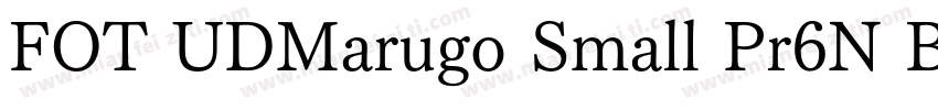 FOT UDMarugo Small Pr6N Bold字体转换